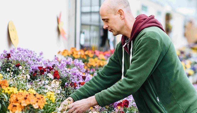 Putting growers at the heart of the Bedding and Pot Plant Centre